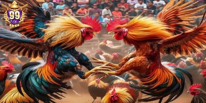 Giữ vững giới hạn vốn để tham gia lâu dài