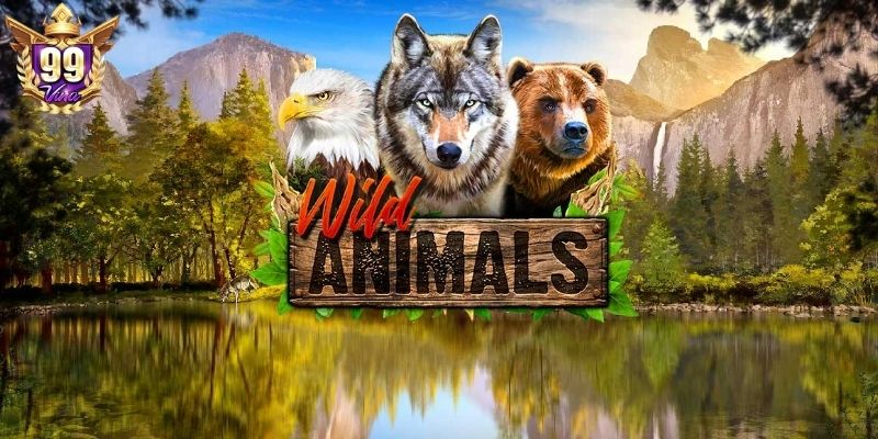 Hiểu rõ luật lệ để tham gia Wild Animals Slot hiệu quả
