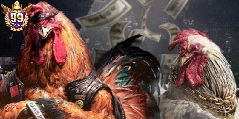 Hội viên có thể lựa chọn một hình thức kê chiến phù hợp