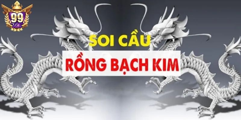 Thông tin cơ bản về soi cầu rồng lô đề online 